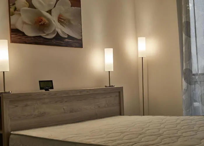 Cadet - Hostaid * Siofok