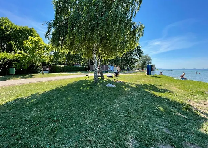 Cadet - Hostaid * Siófok